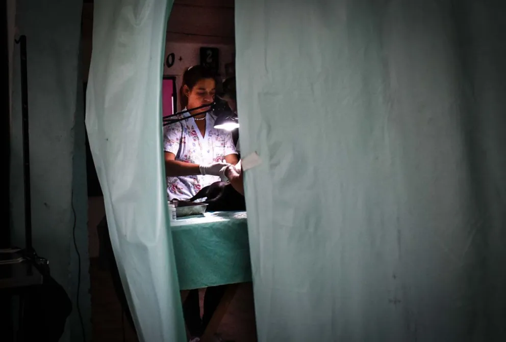 Viedma: conoce en qué barrios estará el servicio de castración este mes