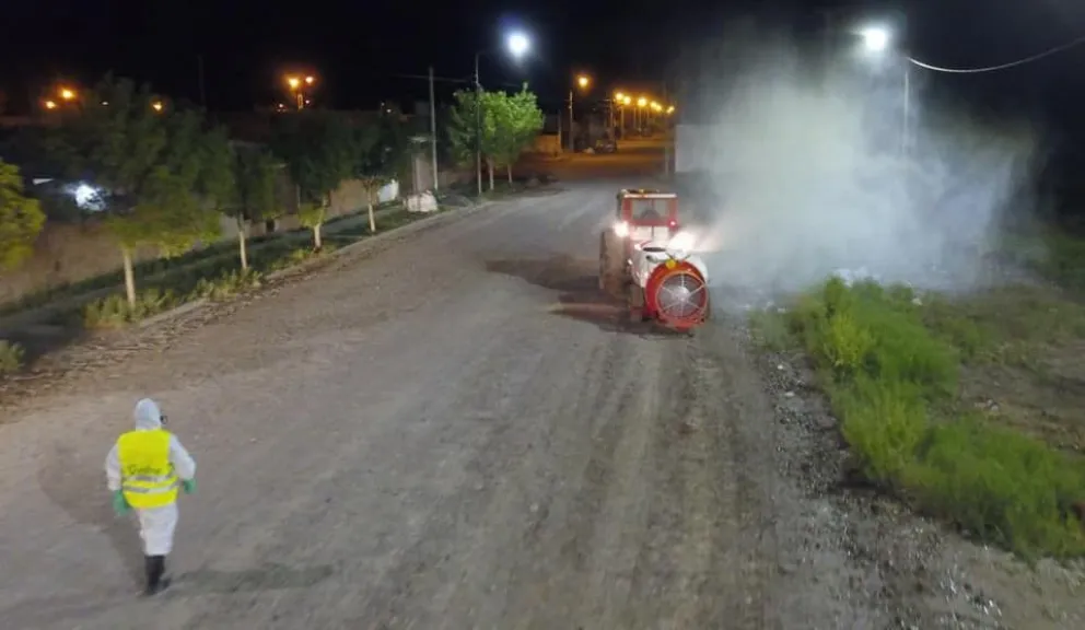 Continúa la guerra contra los mosquitos: cómo es el cronograma semanal