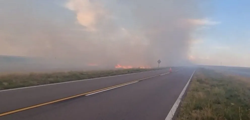 Un incendio de pastizales afectó el normal tránsito en el ingreso a Carmen de Patagones
