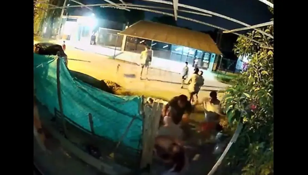 Batalla campal: un perro se comió al pollito de los vecinos y se desató la locura