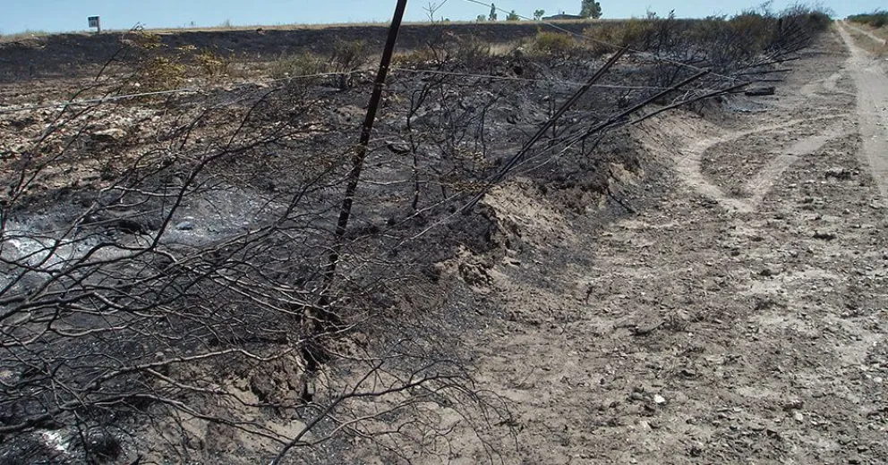 Incendio en La Baliza: “se perdieron unos 2 mil metros de alambre”