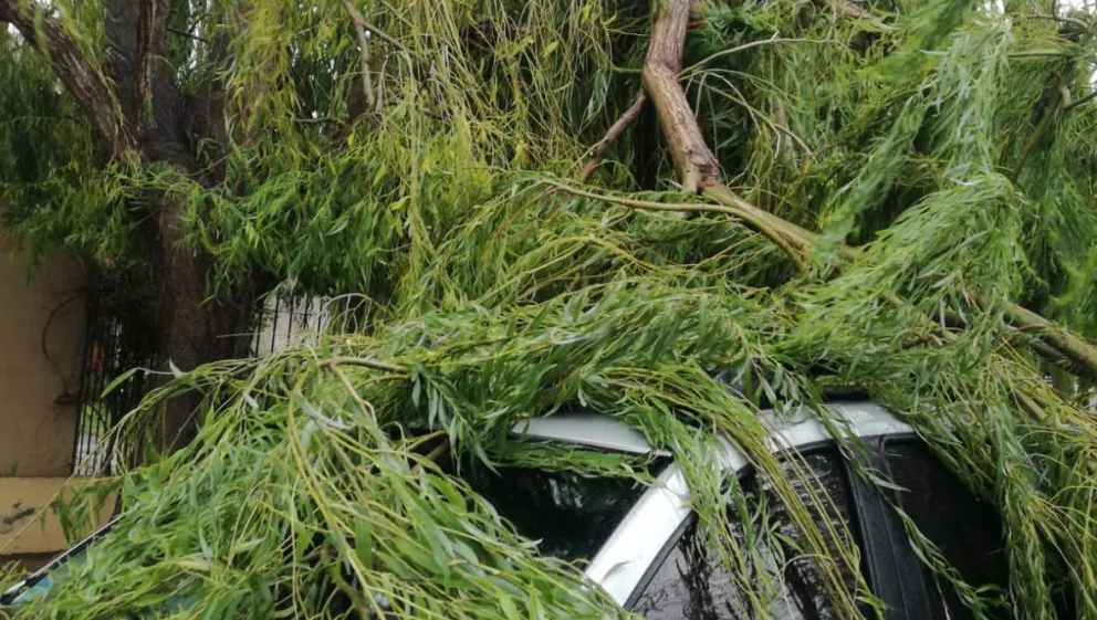 La tormenta comenzó a causar estragos en Viedma