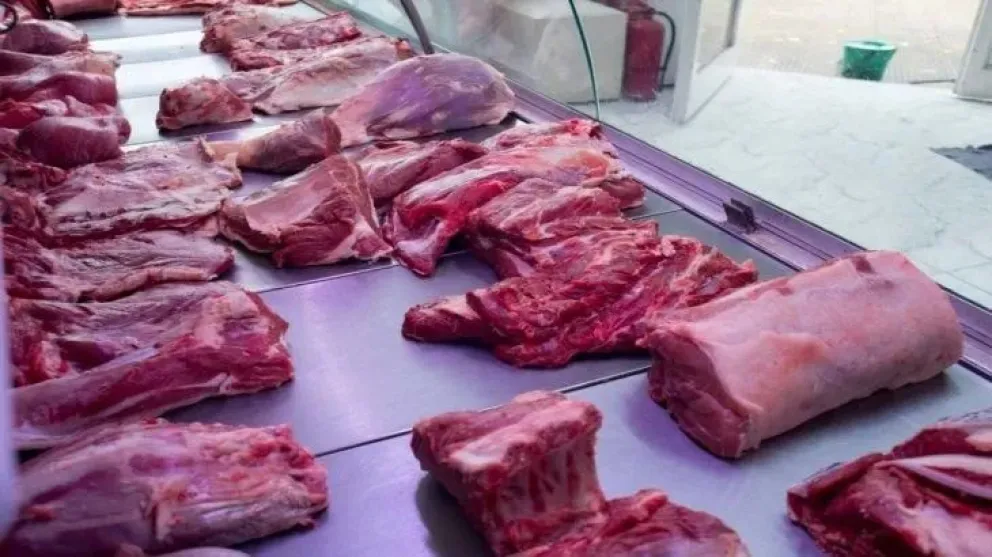 Secuestraron carne clandestina en varias carnicerías de Viedma: “nos encontramos con algunas cosas que no queríamos”