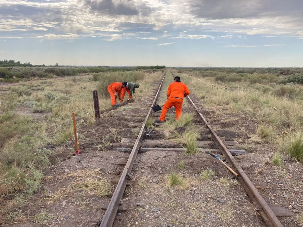 Los desafíos del transporte ferroviario en la región. (ARCHIVO)