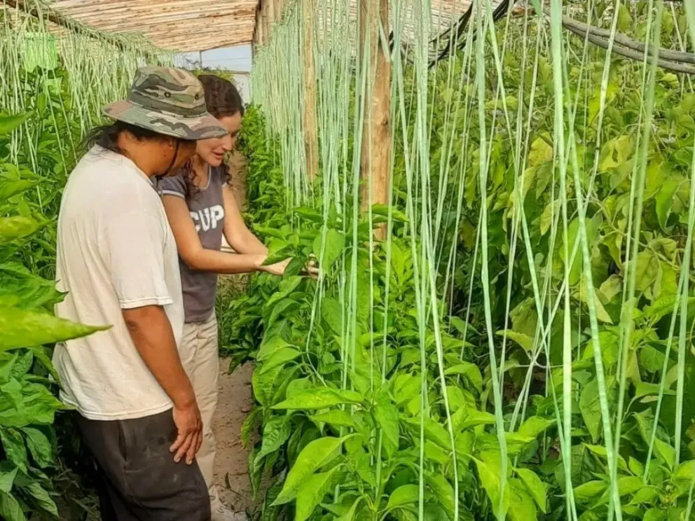 Los métodos alternativos de producción y un ejemplo para el mundo desde la UNRN