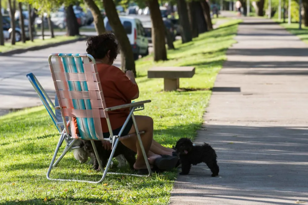 Retorna el calorcito a la Comarca Viedma-Patagones