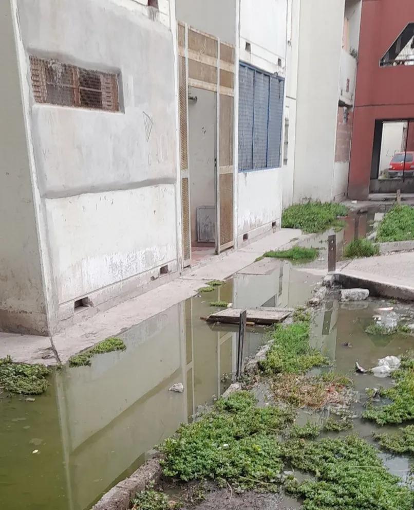 Intensas jornadas de calor y cloacas desbordadas hacen la vida imposible en barrio Ceferino