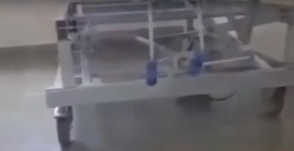Desde el hospital informaron que la rata apareció con la última tormenta