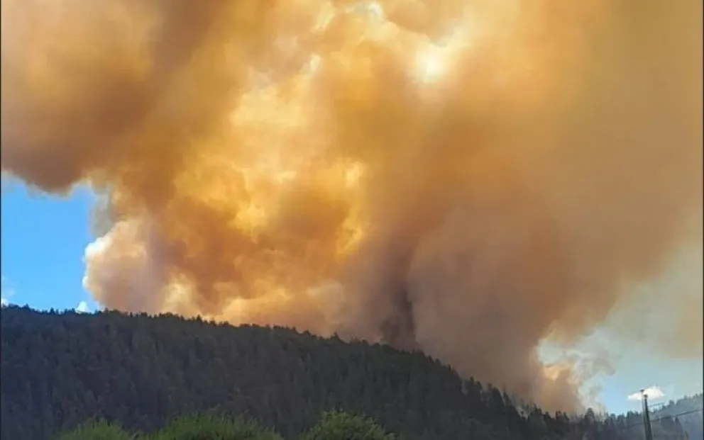 Incendio forestal en El Bolsón: habría sido intencional y habría un detenido