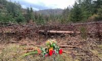 Adolescentes de 12 y 13 años mataron a puñaladas a una compañera del colegio: la dejaron desangrar en medio de un bosque