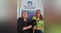 El Poder Judicial de Neuquén sumó a “Oreo”, un perro que ayudará a niños en Cámara Gesell