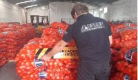 Escándalo con cebollas rionegrinas que pretendían exportarse a Brasil