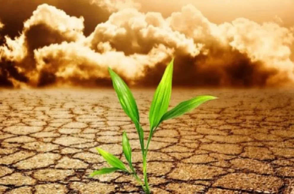 Cambio climático: la ONU advirtió que junio fue el mes más caluroso registrado a nivel mundial