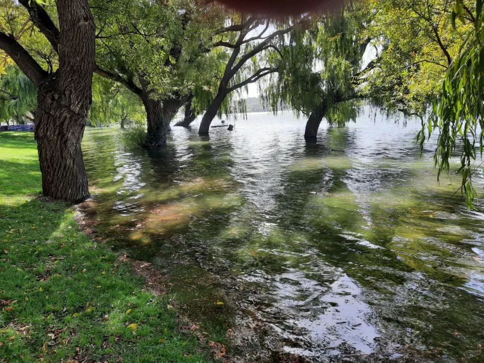 Crecimiento inusual del río Negro por acción de una sudestada