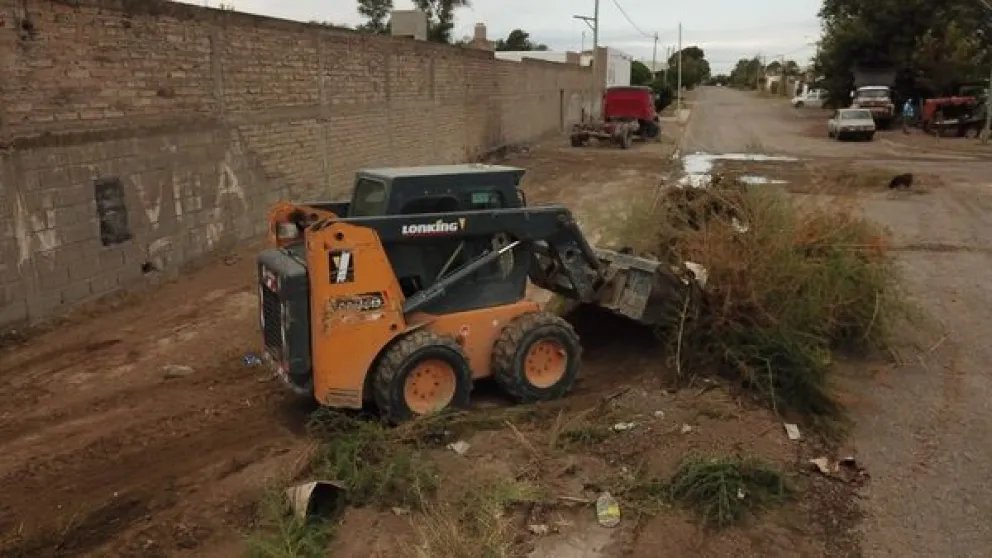 Operativo limpieza en Viedma: “Estamos trabajando para mejorar la calidad de vida”