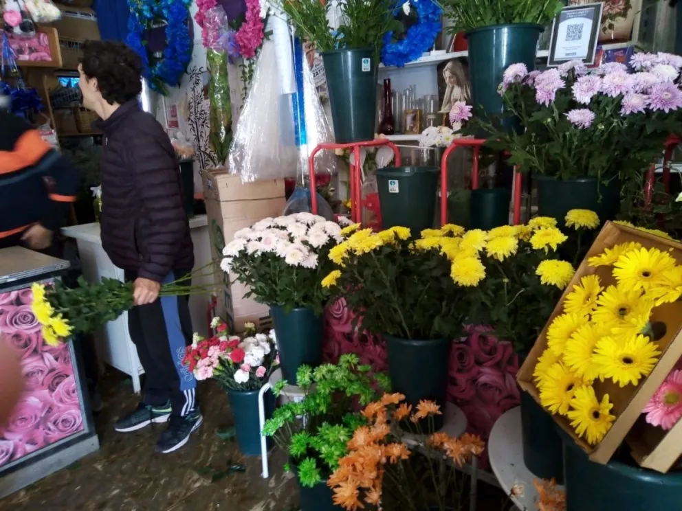 Regalar flores amarillas creció como tendencia entre los enamorados de Viedma