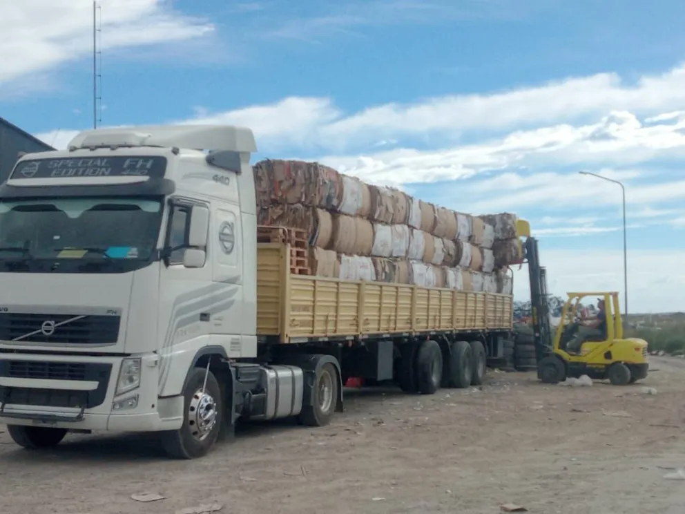 Aumenta la conciencia ambiental: más de 27 mil kilos de cartón recuperados para su reutilización