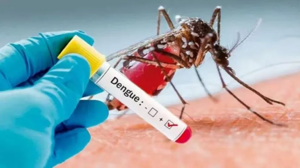Según Héctor Ralli, en Río Negro podría haber riesgo de dengue