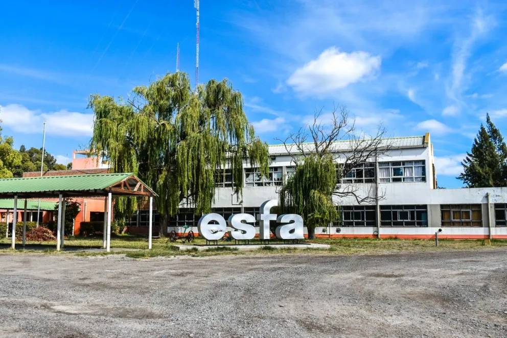 Los robacables llegaron a la ESFA y se llevaron 300 metros