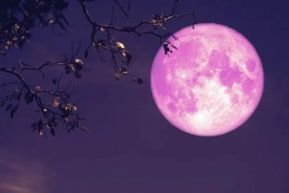 Se viene la luna Rosa de abril: cuándo se podrá ver el fenómeno astronómico