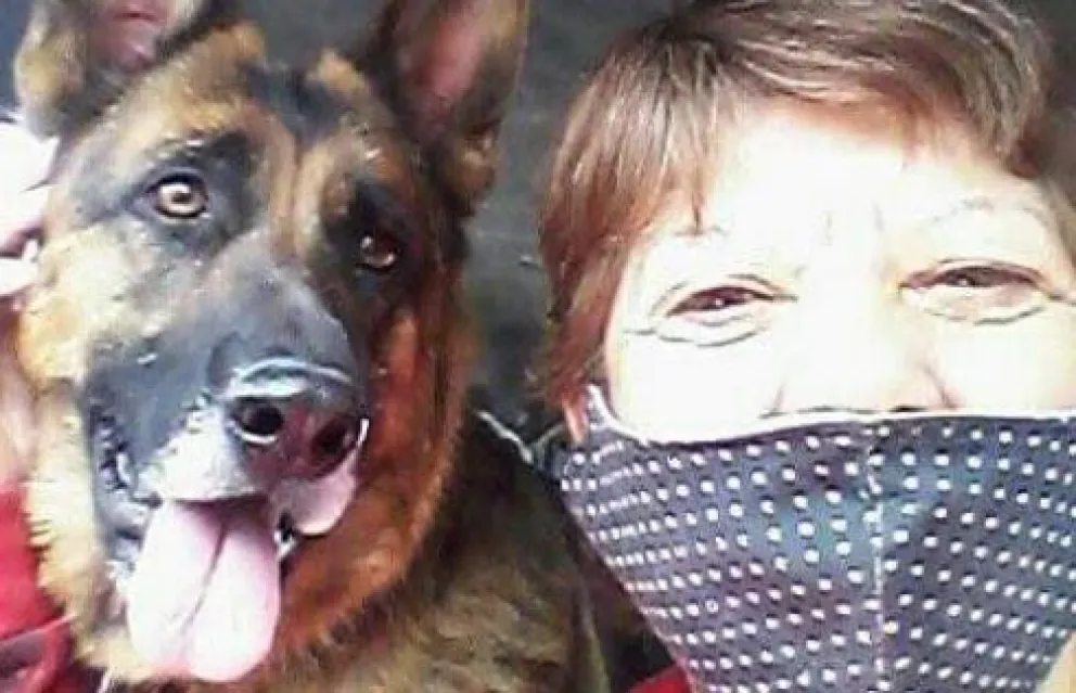 Pedía verduras para comer y hoy tiene un emprendimiento donde se dedica a dar amor a las mascotas: su historia