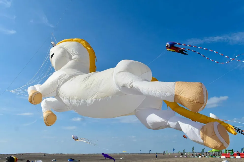 Lemos sobre el Festival del Viento: “Tomó una gran magnitud”