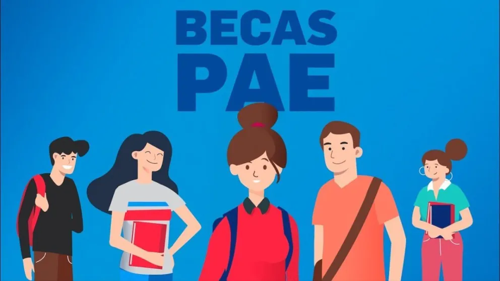 Pan American Energy convoca a becas para estudiantes: dónde anotarse