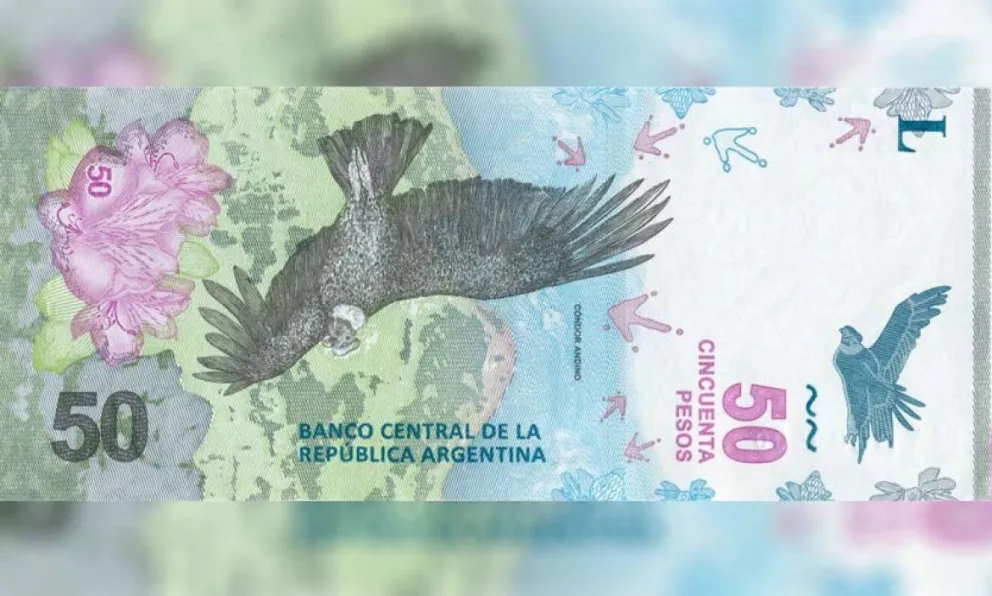 Piden hasta $50.000 por un billete de 50 pesos: cómo reconocerlo