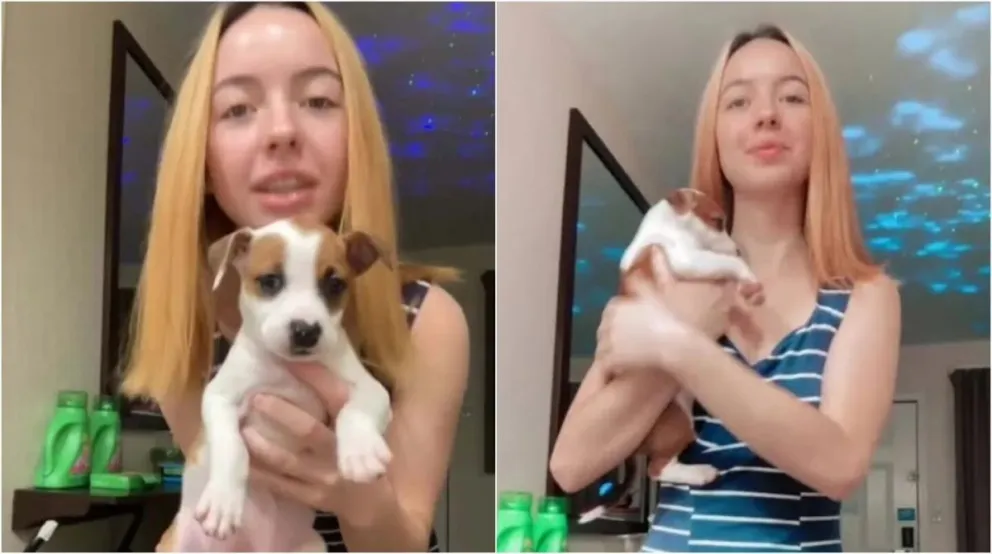 Aberrante: una joven abusó de sus perros y publicó los videos en redes sociales