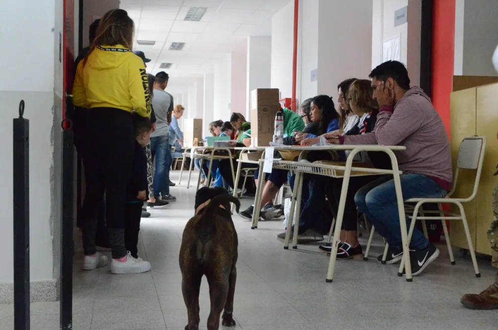 Estos son los nombres para ocupar la intendencia de Viedma 