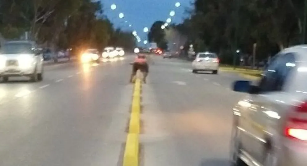 Un peligro: pintores de cordones trabajando en medio de autos en la avenida Perón