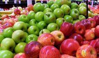 Aumentan los precios de la canasta básica, principalmente frutas y verduras
