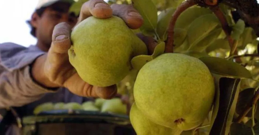 Alivio para el valle inferior: las cebollas también entrarán en el dólar agro