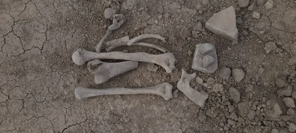 Encontraron restos óseos e intervino Criminalística