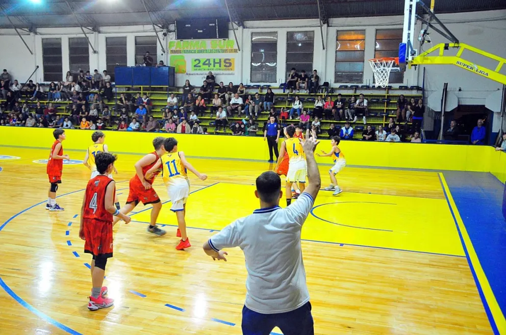 La naranja comienza a picar: las formativas de ABVI comenzarían el último fin de semana de febrero