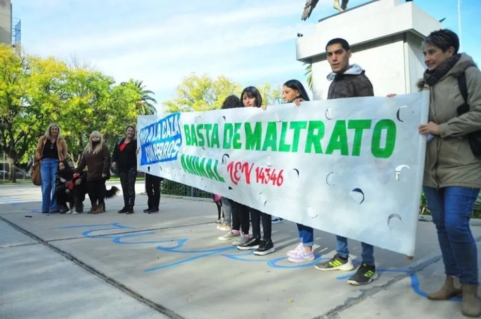 Día del animal en Viedma: proteccionistas se reunirán para concientizar sobre la caza con jauría 
