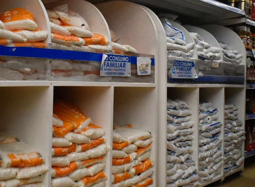 Gallo: “Estaríamos necesitando 1.6 salarios mínimos para cubrir la canasta básica de alimentos”