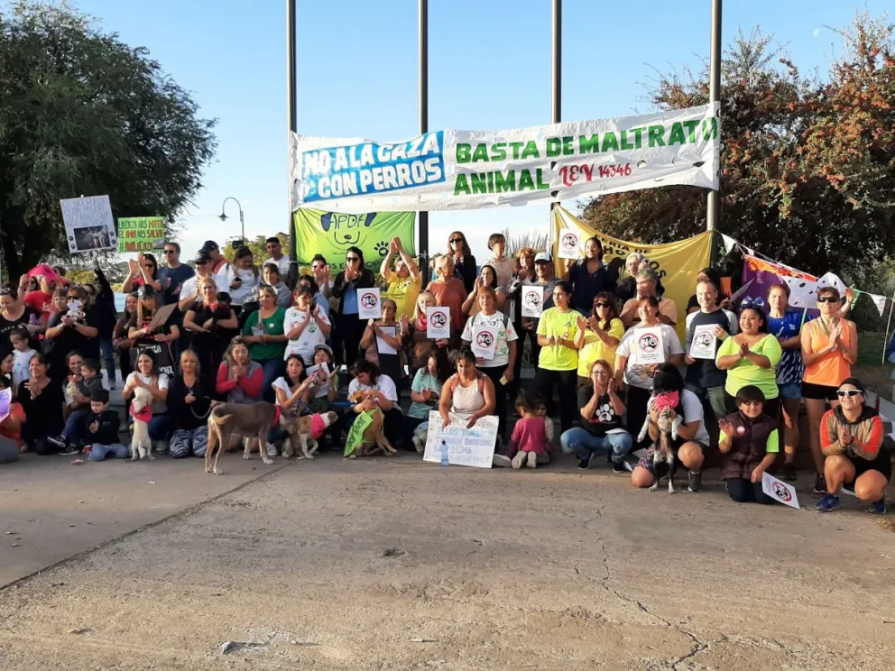 Proteccionistas de la Comarca en contra de la caza con perros: "No se puede regular un delito"