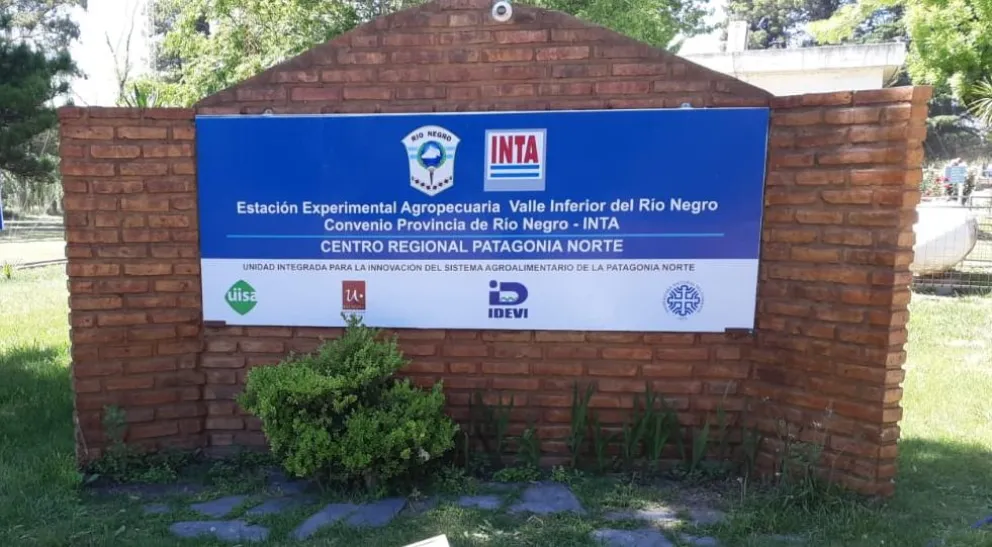 Robaron y faenaron una ternera de alta gama de propiedad del INTA