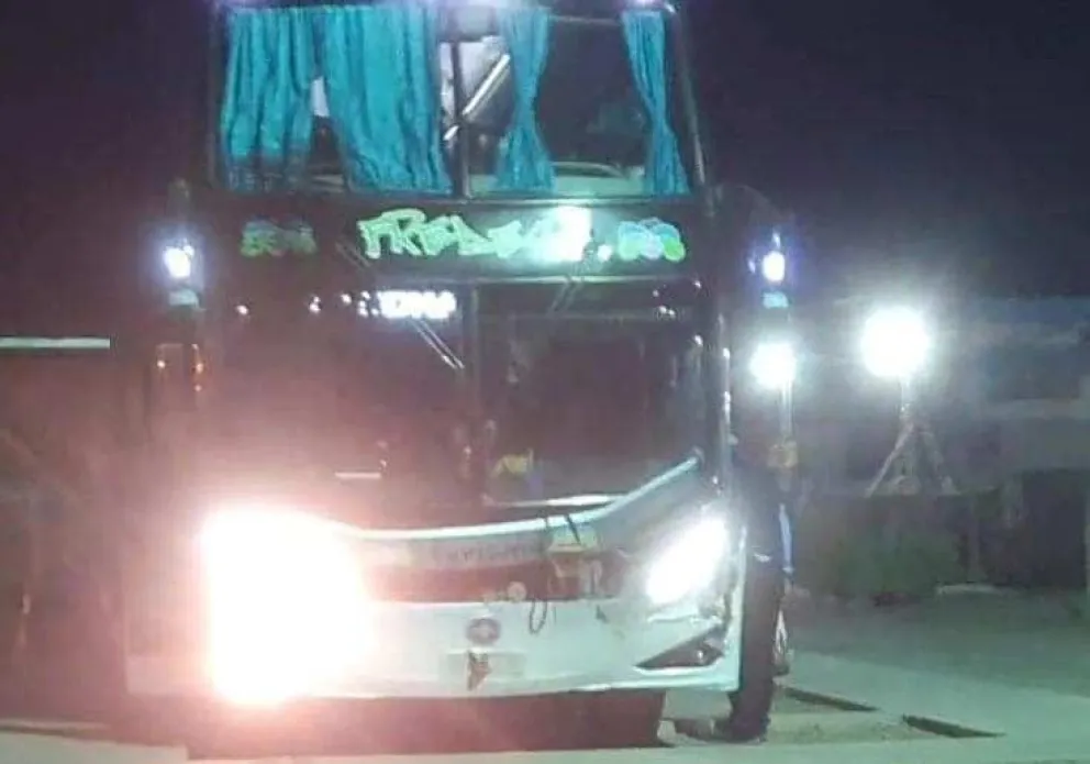 Un colectivo chocó contra un jabalí y hubo demoras para llegar a Viedma