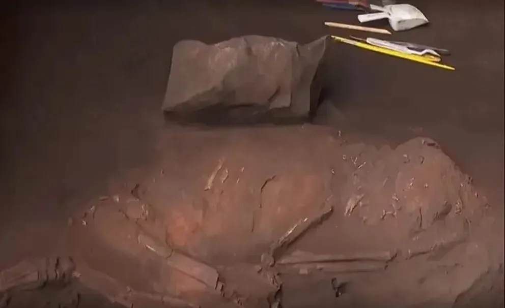 Gran hallazgo: encontraron en Brasil un fósil humano alrededor de casi 12.000 años 