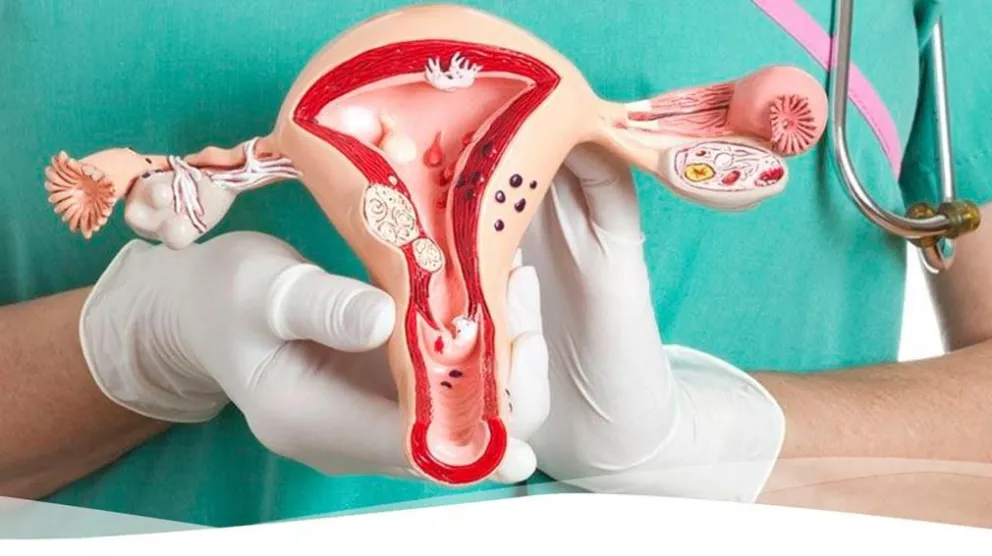 Continúa la campaña de prevención de Cáncer Cérvico Uterino en los barrios de Patagones 