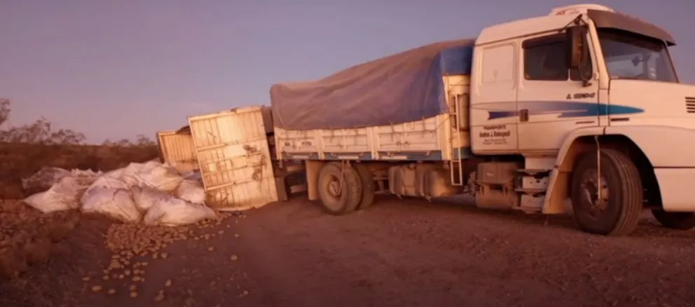 Volcó el acoplado de un camión y las papas quedaron esparcidas en el camino