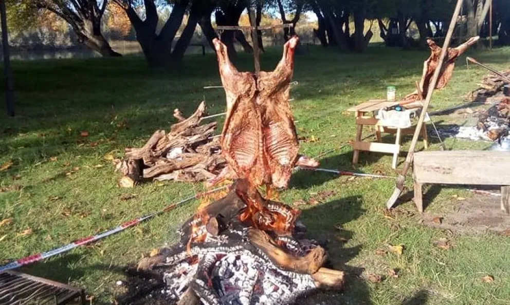 La Fiesta Provincial del Jabalí al Asador será en el camping de Guardia Mitre (Imagen ilustrativa)