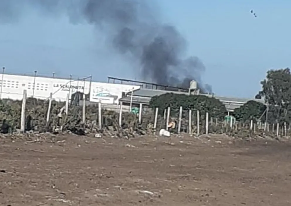Quemaron residuos en una “chacarita” de Viedma,  y les hicieron una infracción