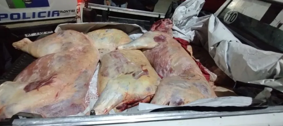 Dos sujetos quisieron pasar carne a Viedma, y la policía les secuestró dos novillos faenados