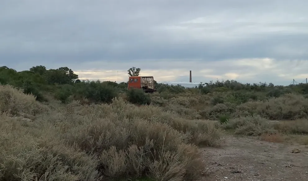 Tren entre Viedma y Bahía: un problema de infraestructura estaría demorando su vuelta