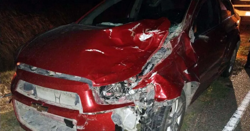 Se dirigían a Viedma, se les cruzó un vacuno y se salvaron de milagro