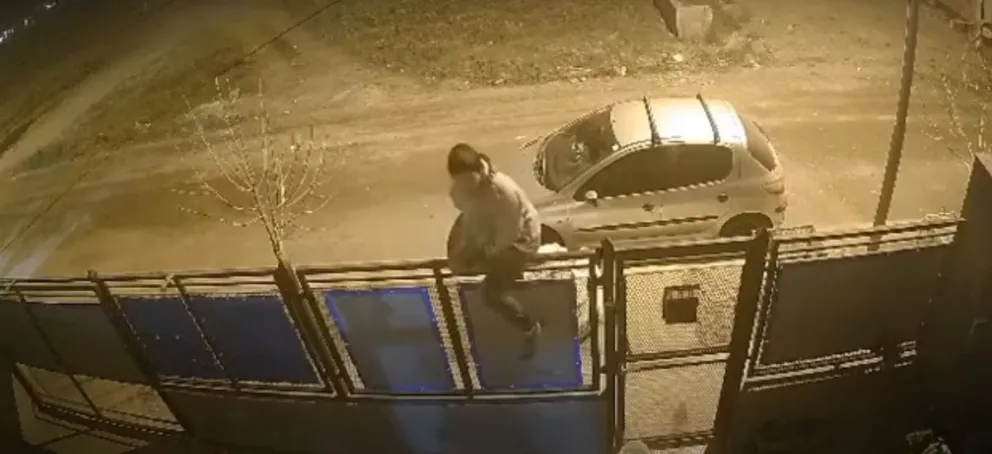 Video: con total impunidad, saltó un paredón y se llevó una bicicleta