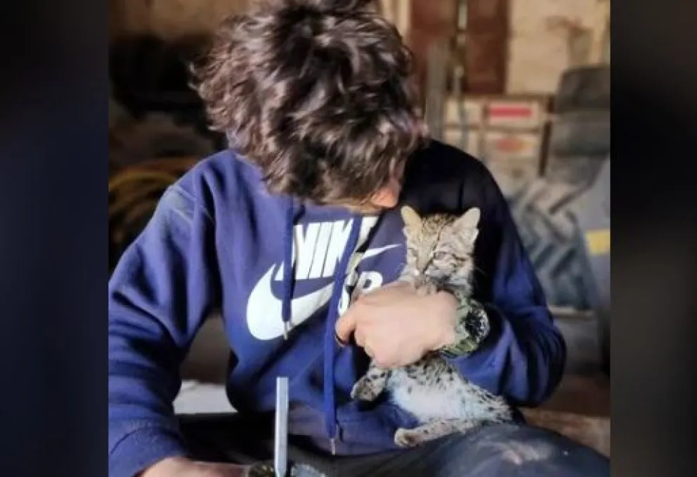 Allanamiento en Córdoba: Rescatan a un gato montés que lo exhibían en redes sociales como mascota